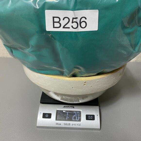 Y2K La Femme Womens Ombre Mermaid Maxi Dress Size 14 Chiffon Fairy Tinkerbell - Picture 16 of 16